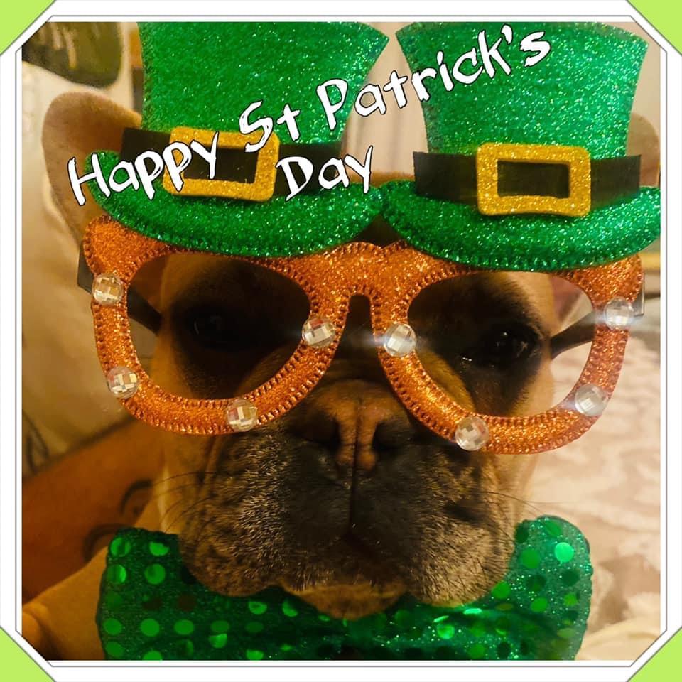 Our Veterinary Health Care Team