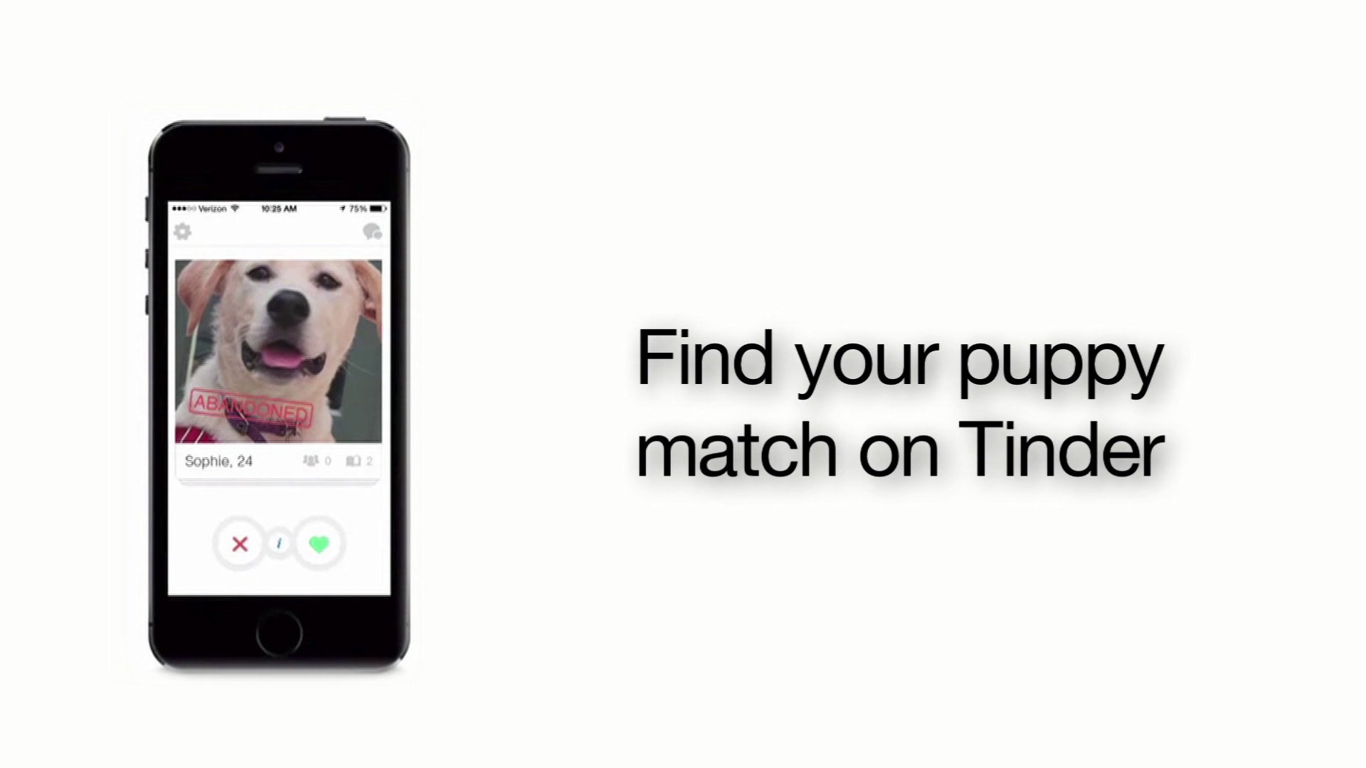 Going to the Dogs Tinder Introduces Puppy Matching
