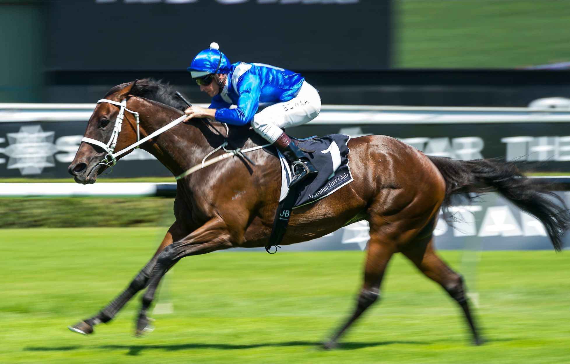Life of a Thoroughbred CWR