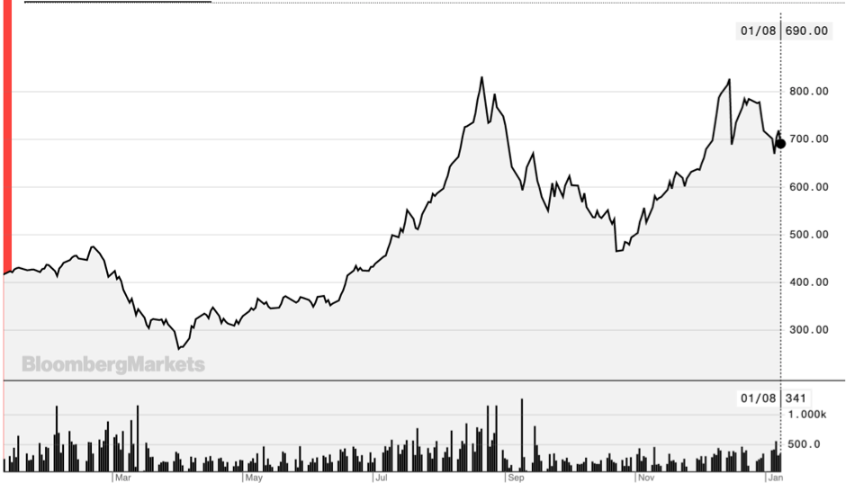 CWAN Biannual Commodities Update January 2021