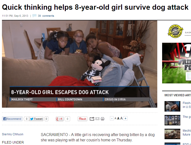 Hiring a Seasoned Dog Bite Lawyer in Sacramento When That Dog Bites