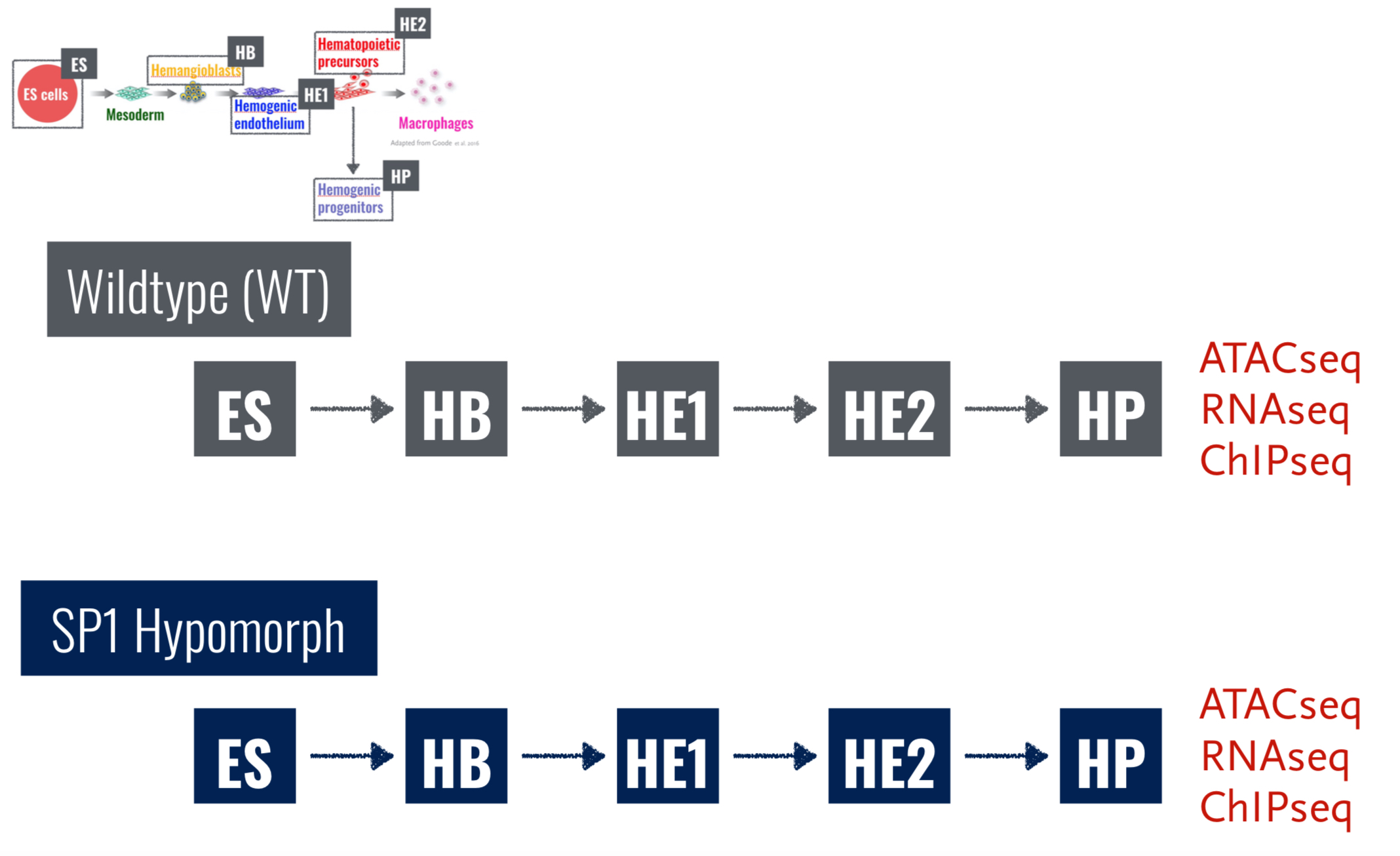 MultiOmics Network inference Yau Research Group