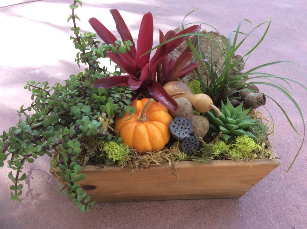 Seasonal planting CW Design and Landscaping