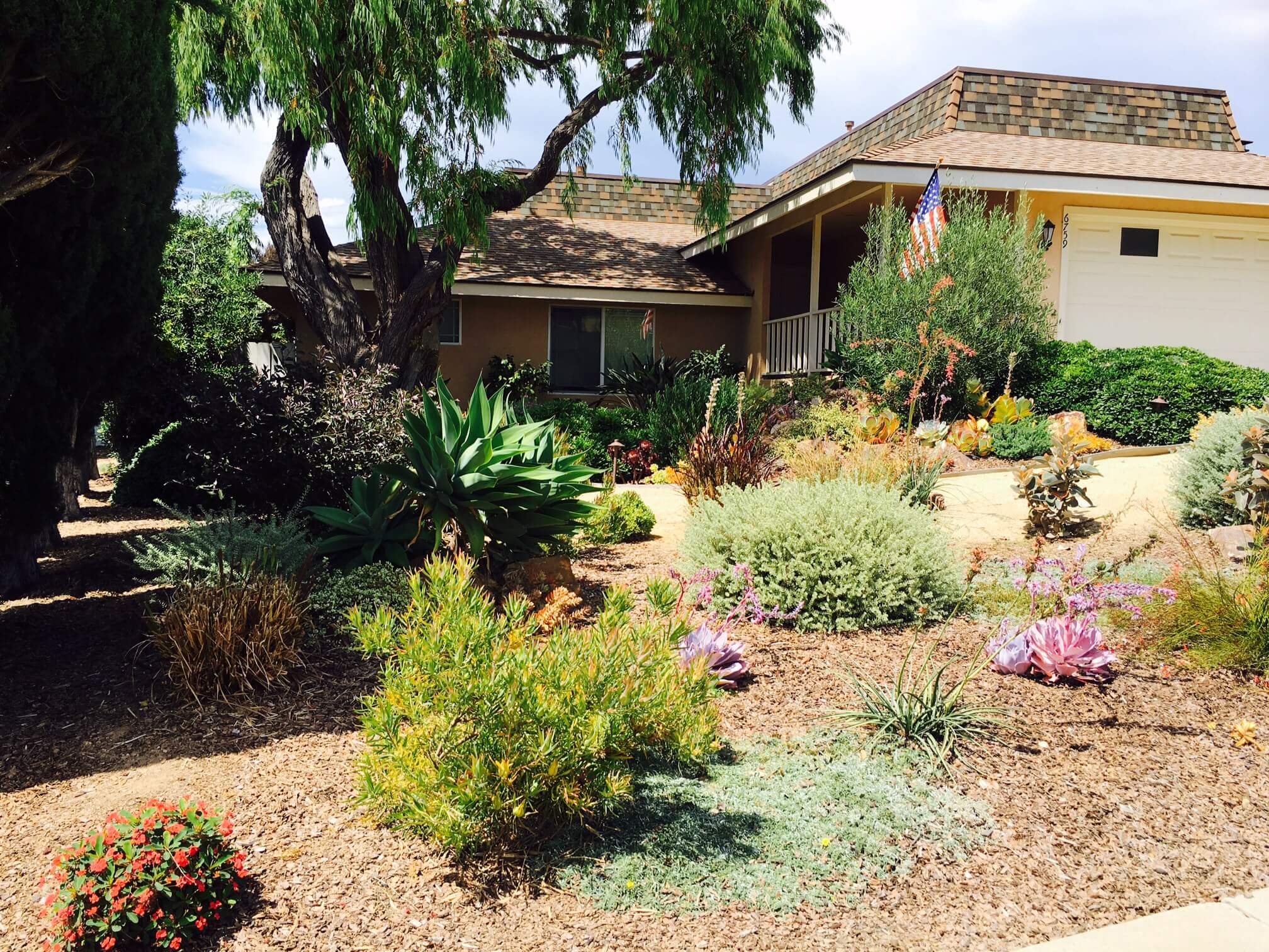 Hillside Slope Landscape with Succulents CW Design and Landscaping