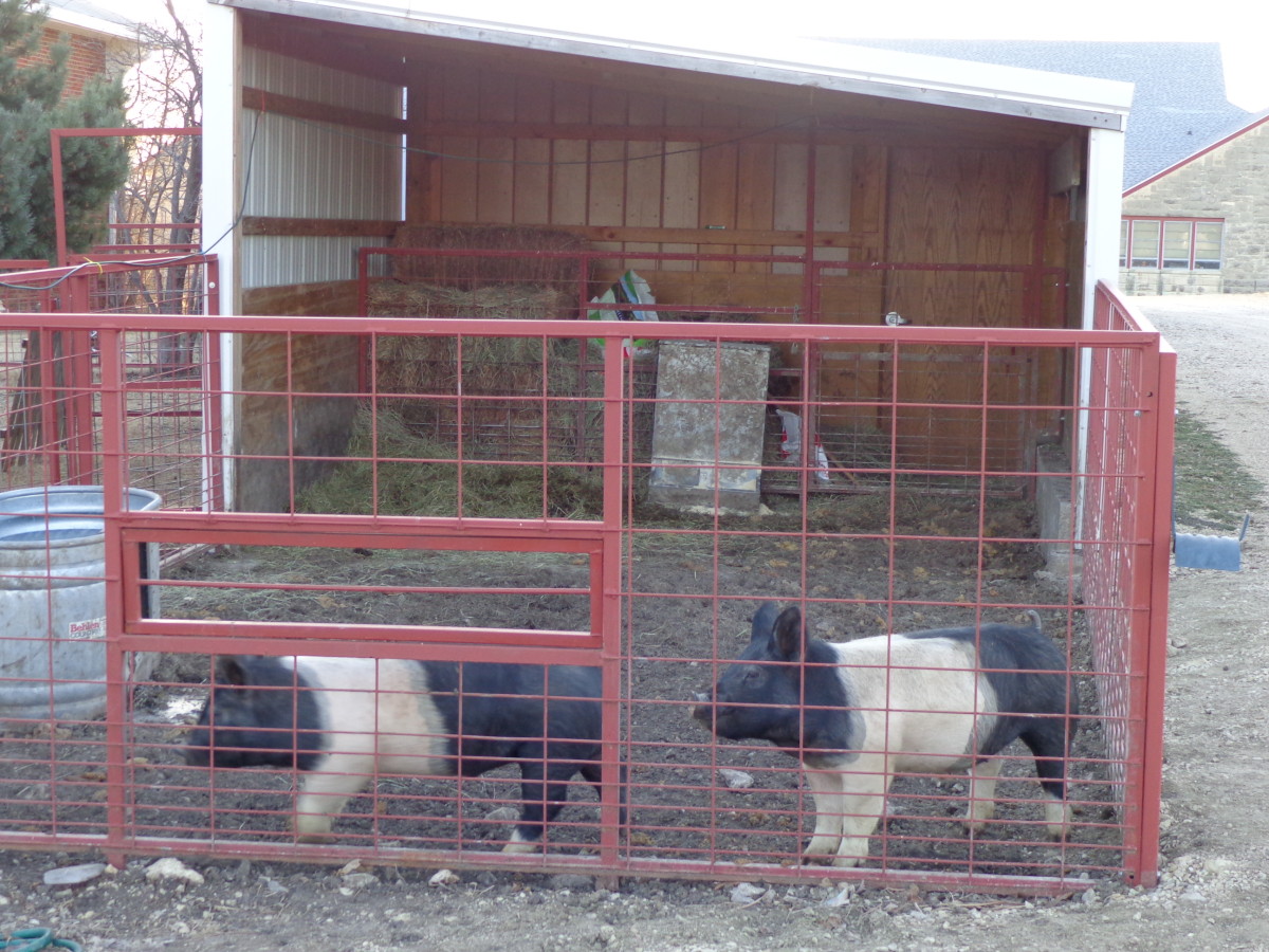 Schools USD 284 City of Cottonwood Falls Kansas