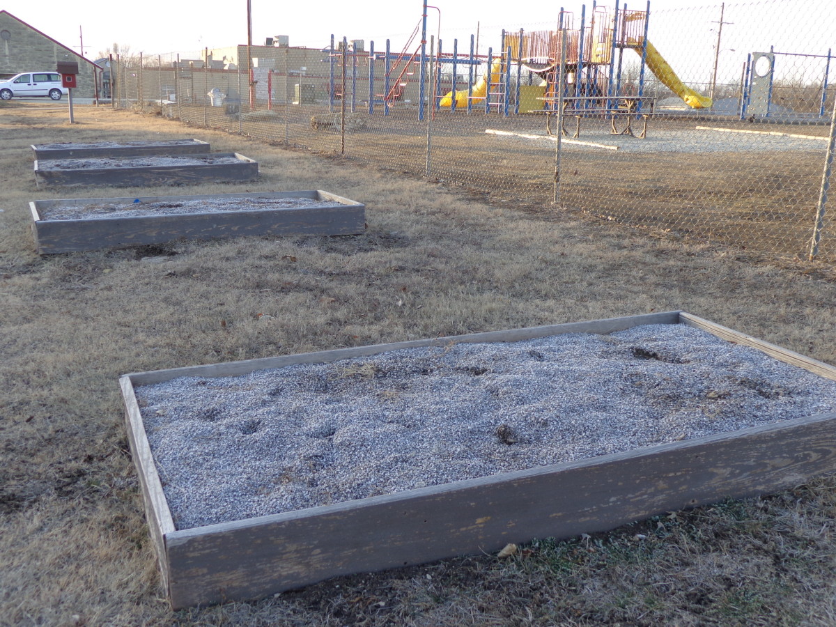 Schools USD 284 City of Cottonwood Falls Kansas