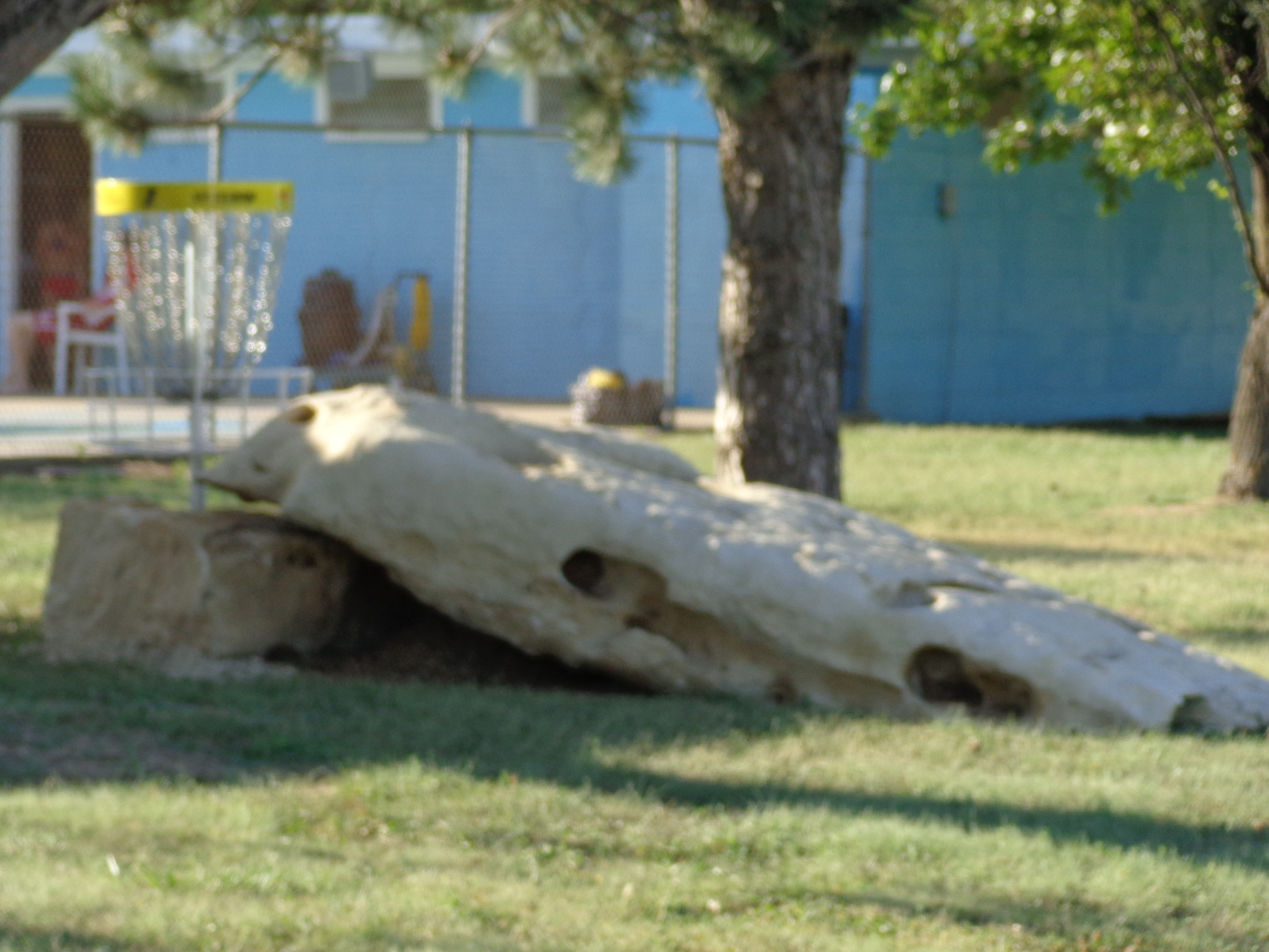 Chase Disc Golf Junior Course City of Cottonwood Falls Kansas