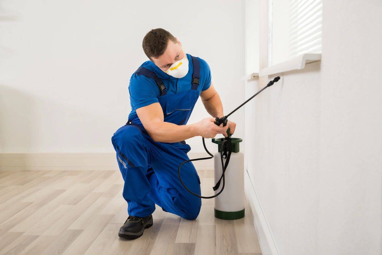Pest Removal Rochester NY CWF Pest Henrietta, Pittsford