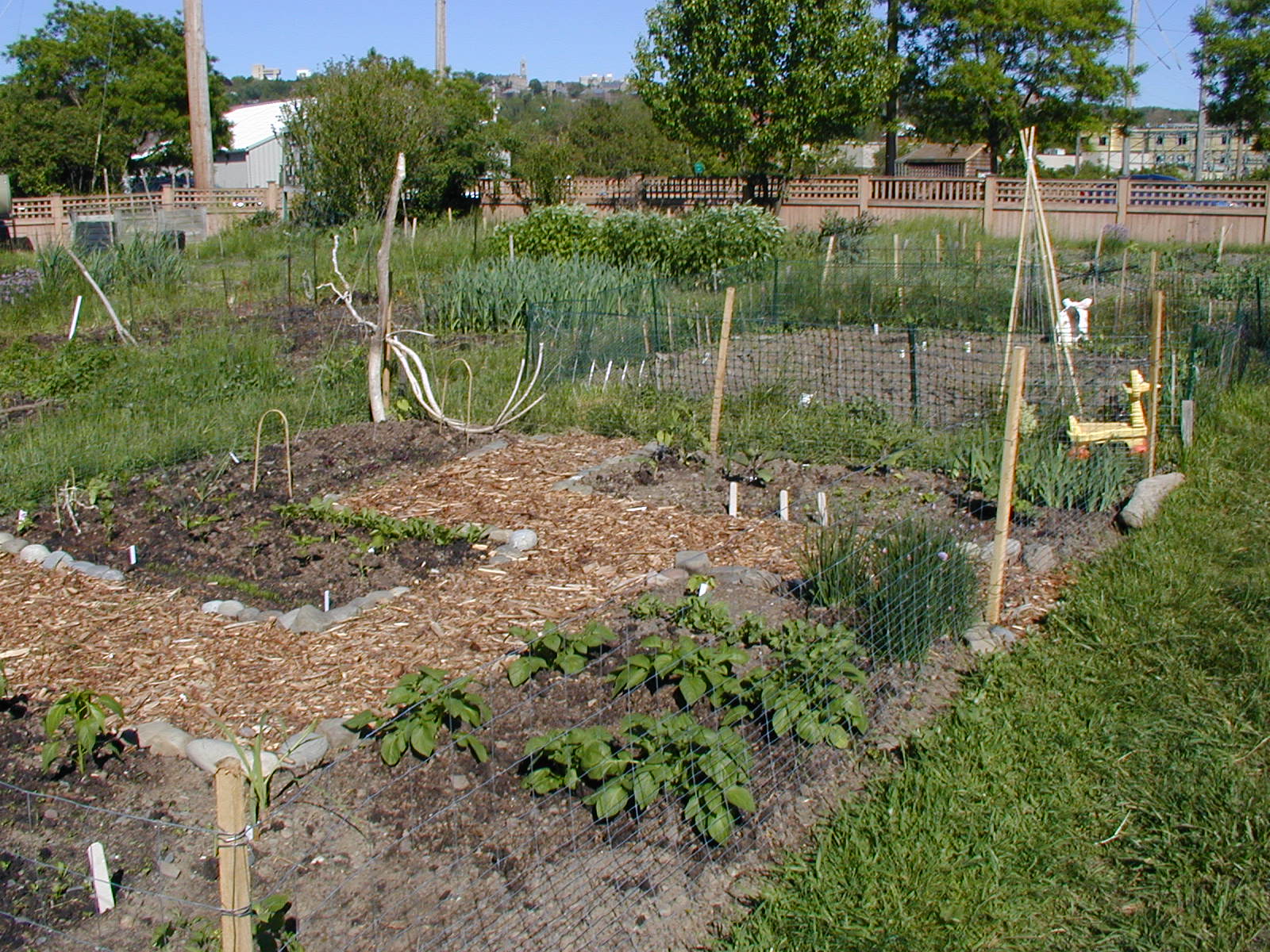 Small Scale or Backyard Composting Cornell Waste Management Institute