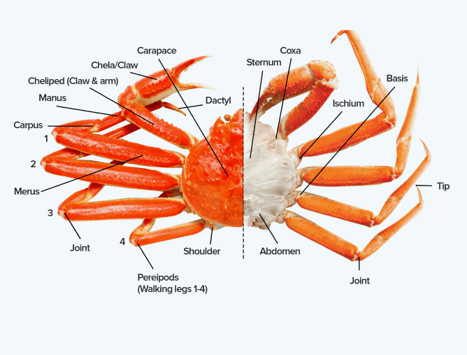 Fun Facts CWorld Limited