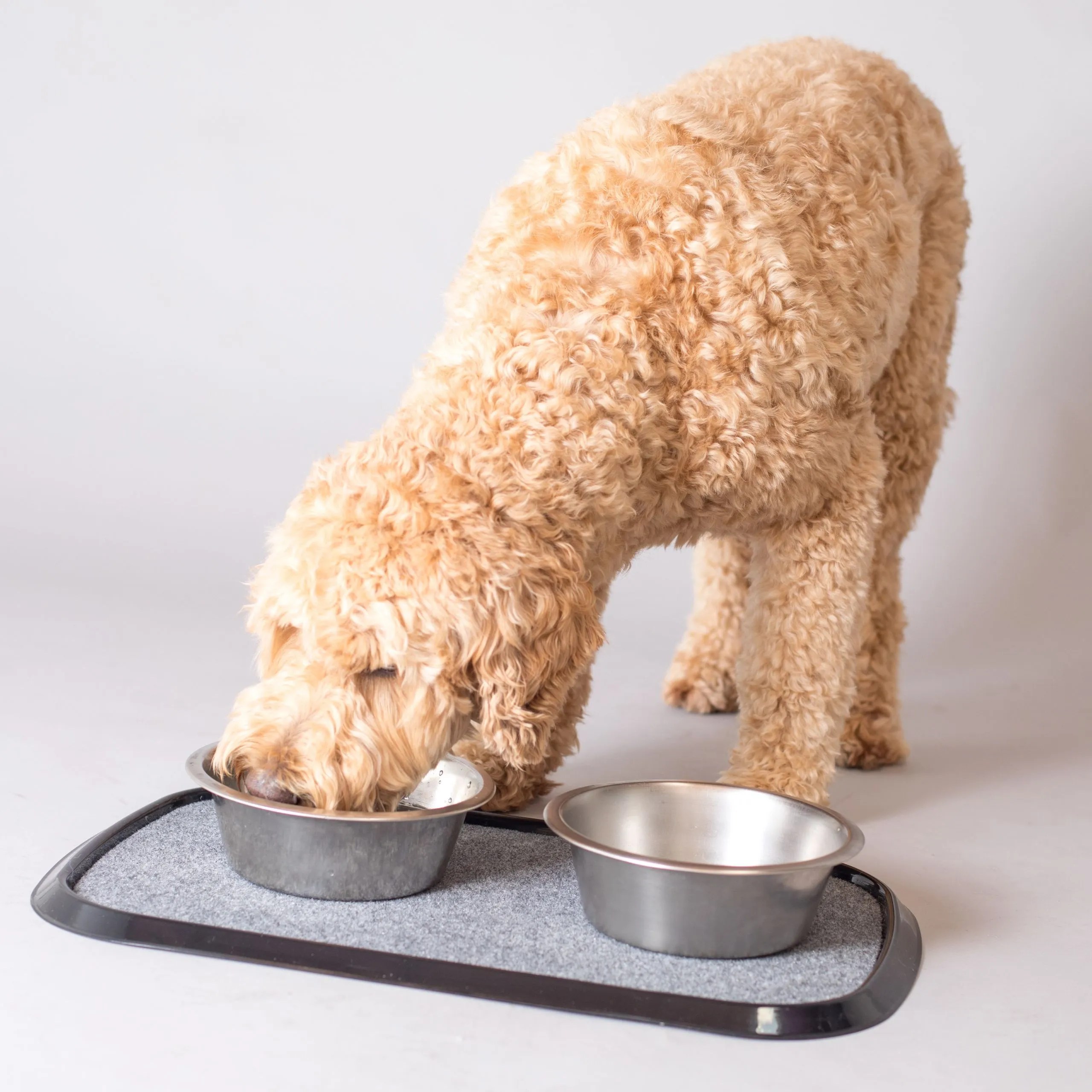 Deluxe Pet Place Mats (Large) CW Plastics