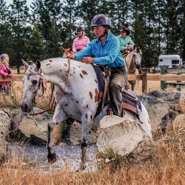 Christchurch Western Riding Association Home