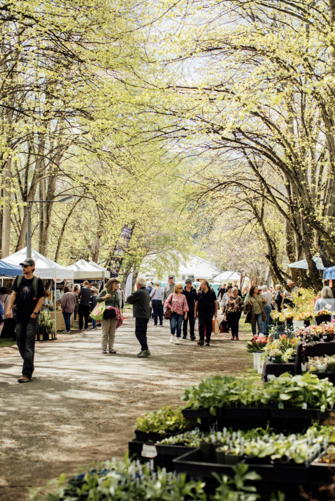 Canterbury Weather Updates