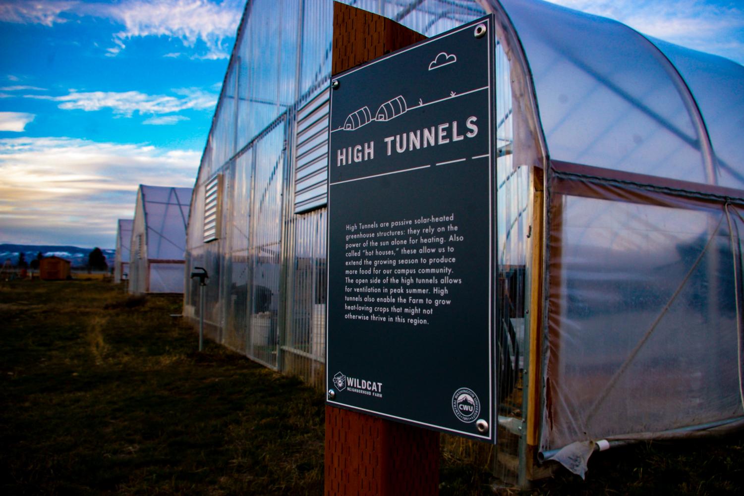 Wildcat Neighborhood Farms opens up garden plots The Observer