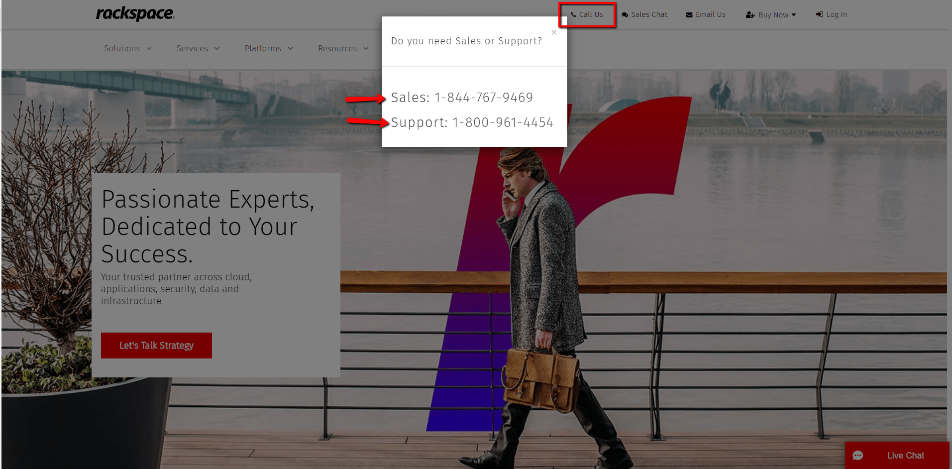 Should You Put a Phone Number On Your Site?
