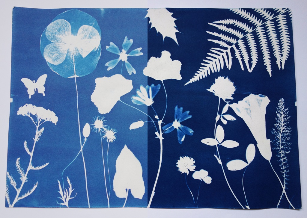 How to achieve darker blues Cyanotype UK