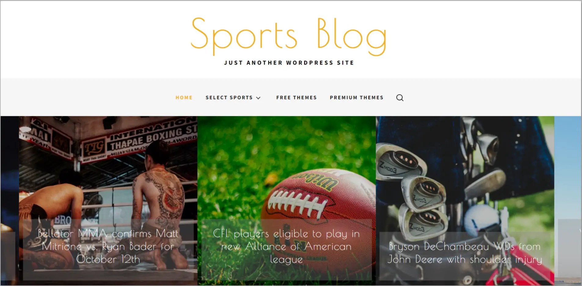 20 Best Sports WordPress Themes in 2024