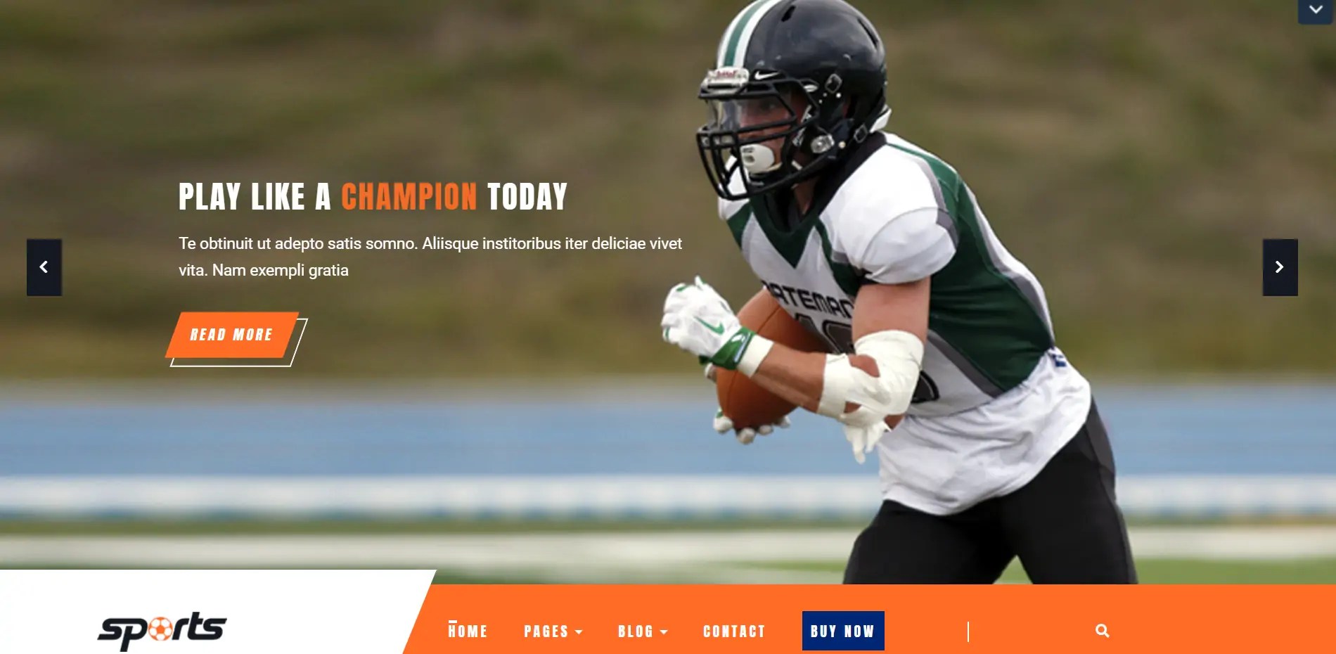 20 Best Sports WordPress Themes in 2024