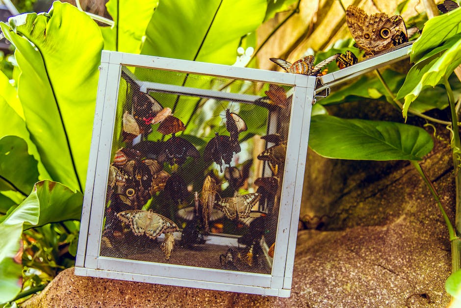 How To Open Up A Campground Cyber Media Creations