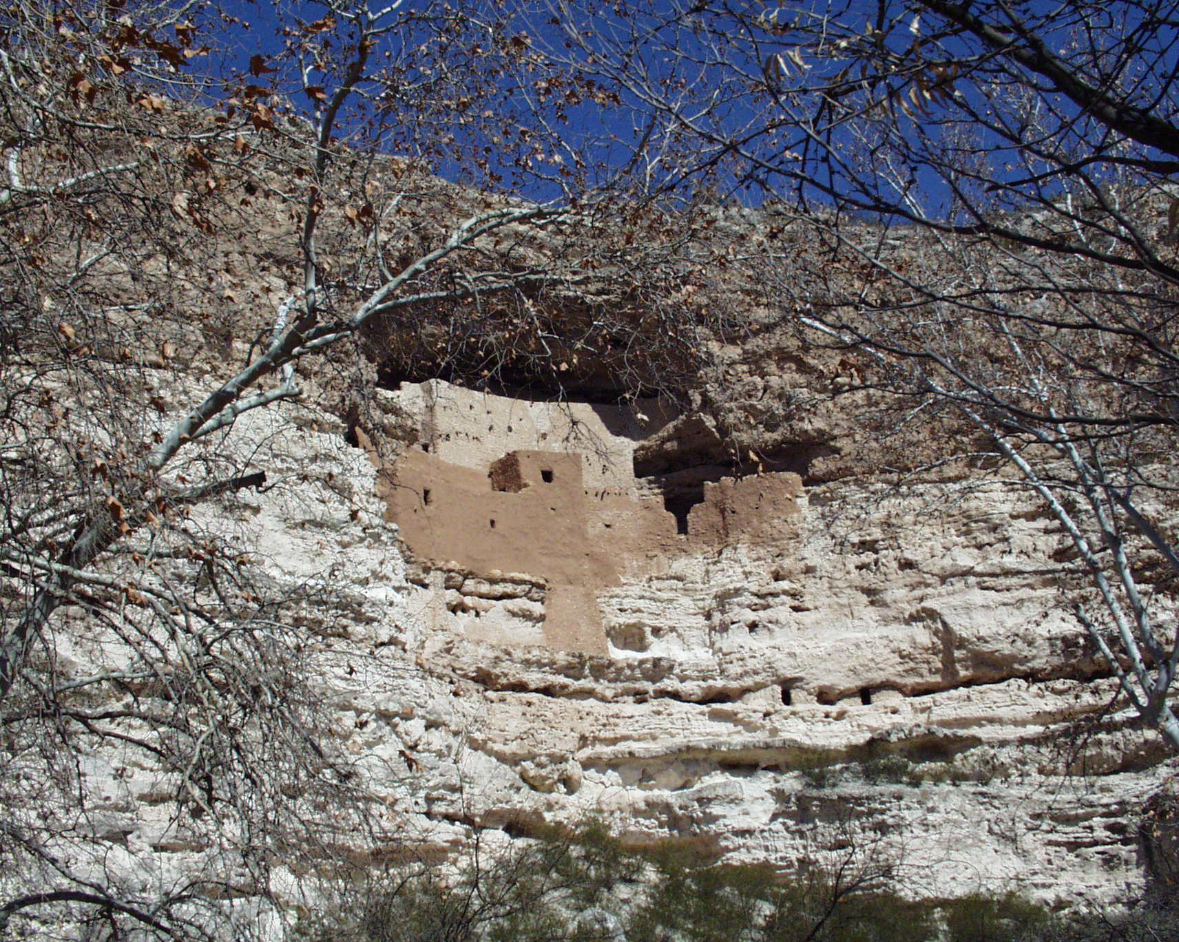 Montezuma Castle With Tree Photography by CyberShutterbug