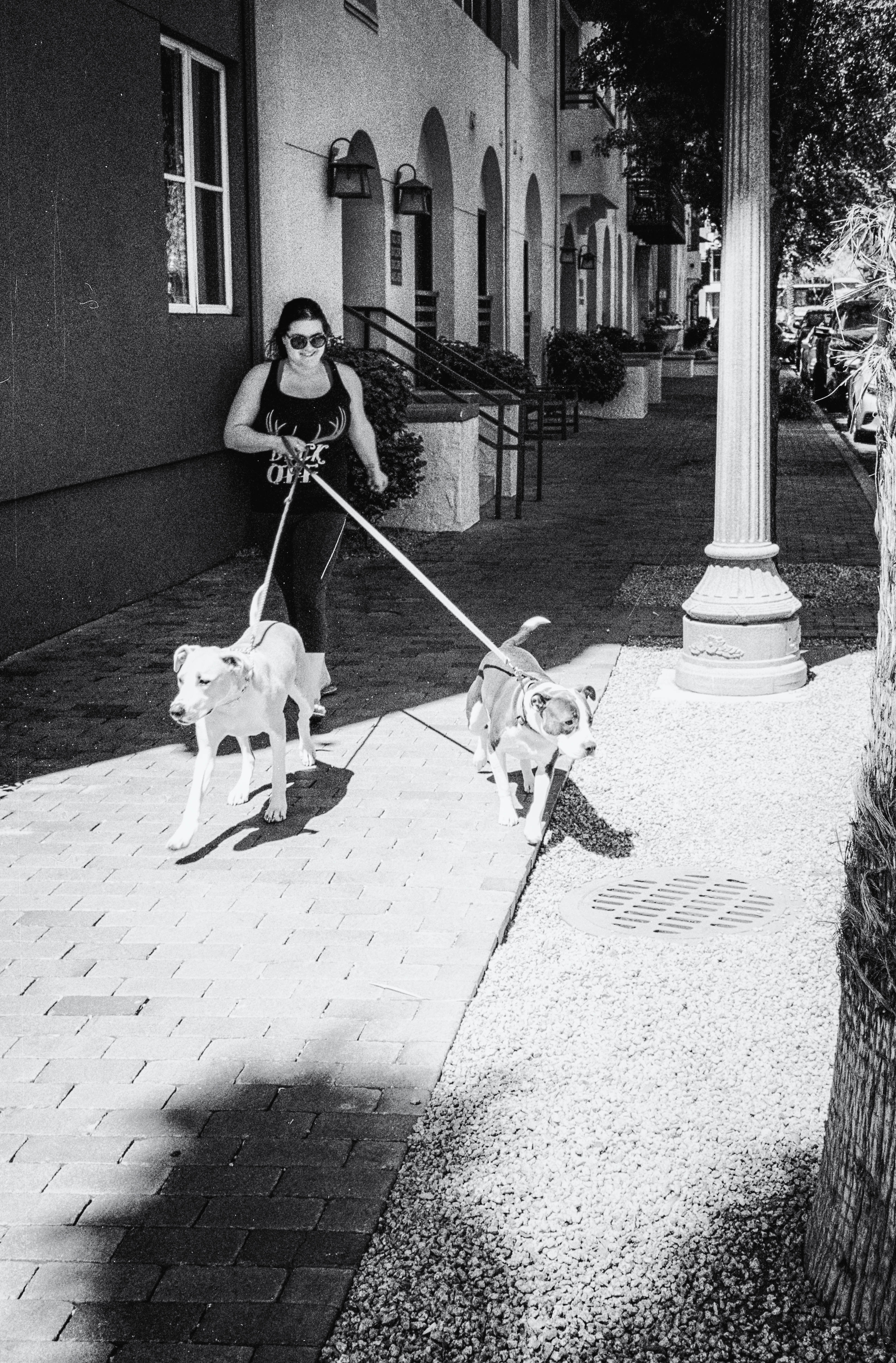Dog Walker © 2017 Robert N. Clinton (aka...