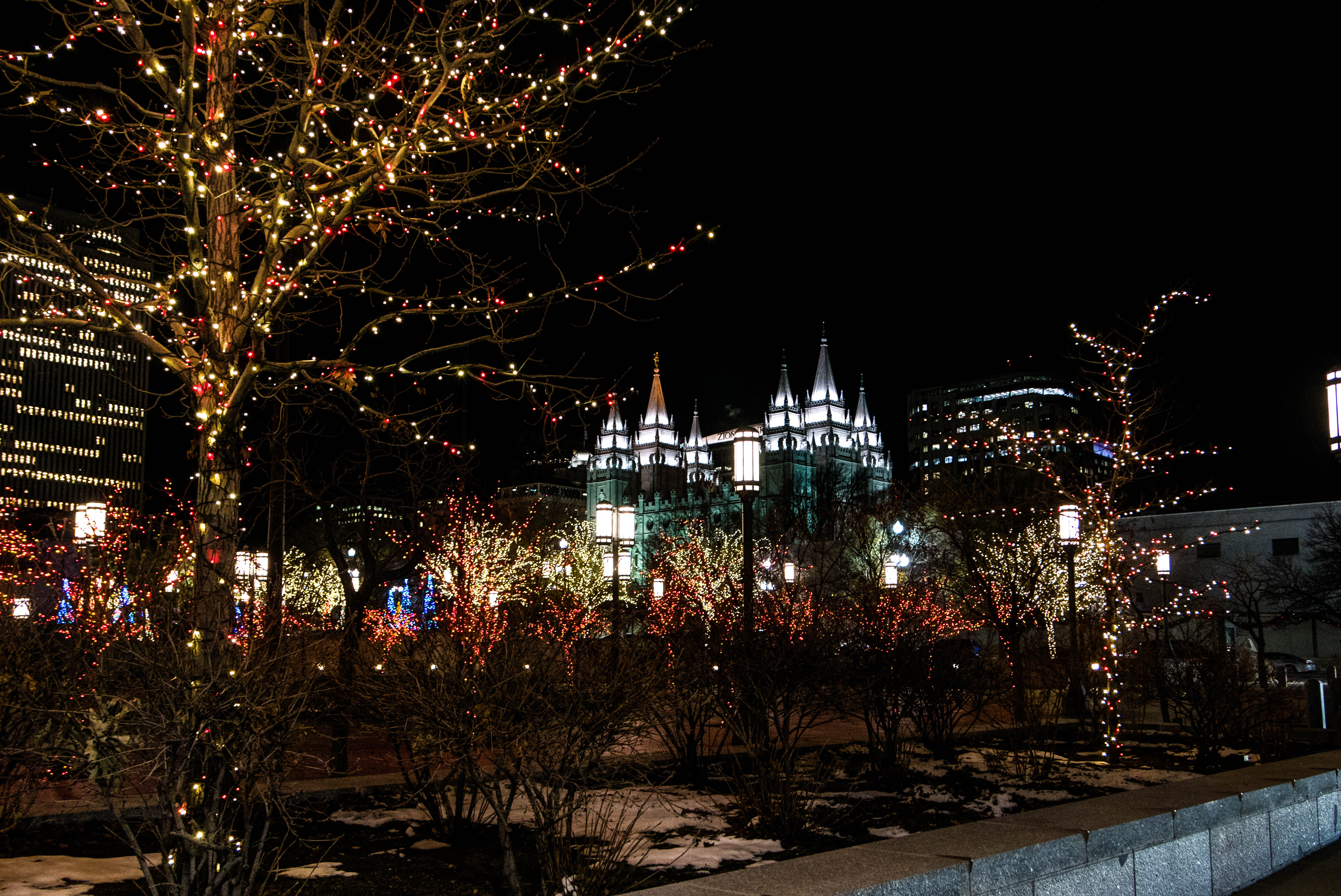 Holiday Lights Photography by CyberShutterbug