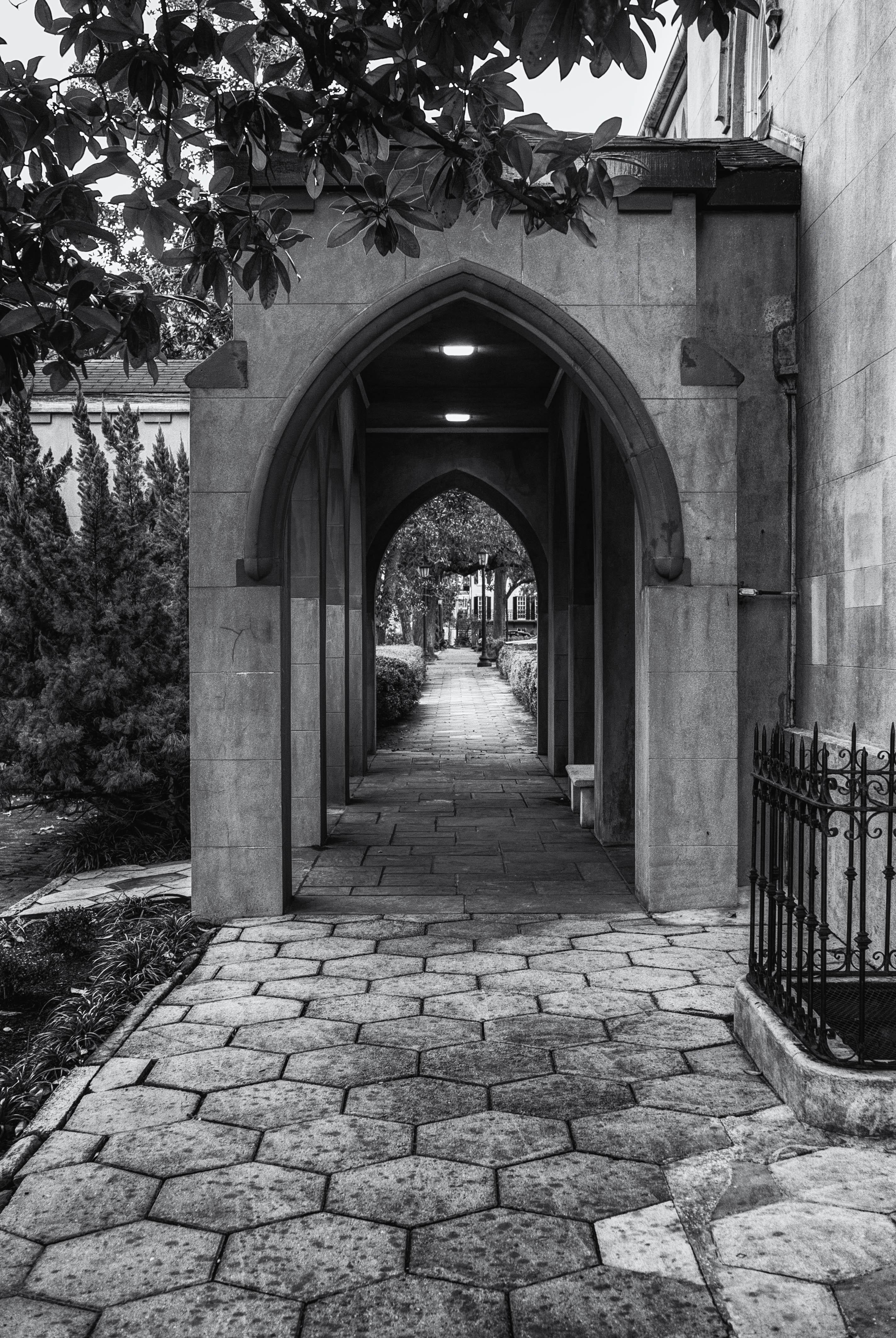 Savannah Archway Photography by CyberShutterbug