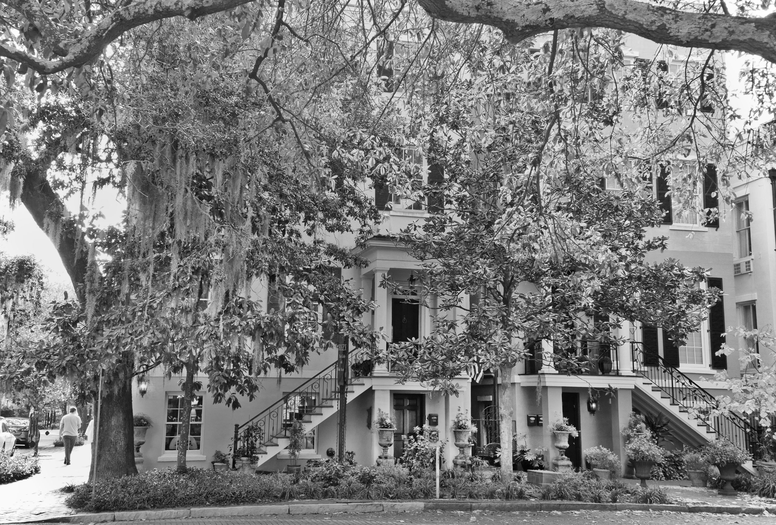Southern Charm Photography by CyberShutterbug