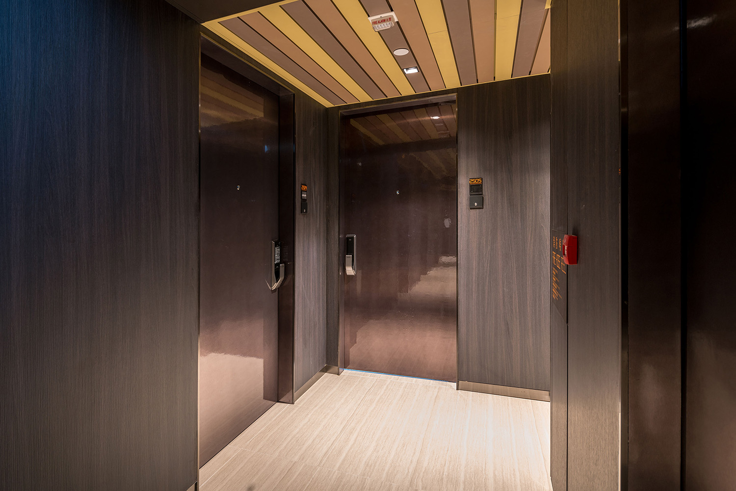 6 Wilmer Street Cybertecture