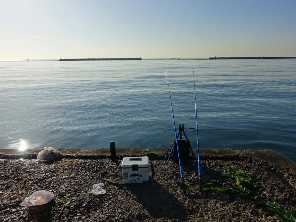【初心者向け】初めての海釣り・堤防釣り入門講座！良く釣れる魚種と釣り方を紹介 Nature Drive