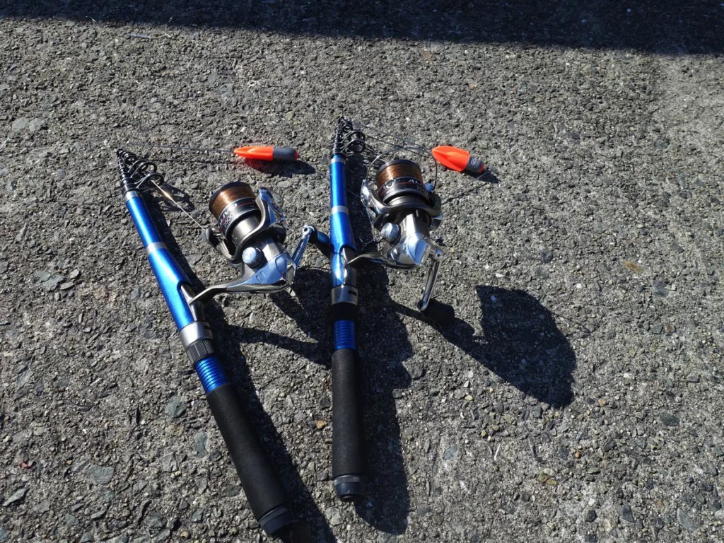 カレイを「ちょい投げ釣り」で仕留める！仕掛けと釣り方を徹底解説！ Nature Drive