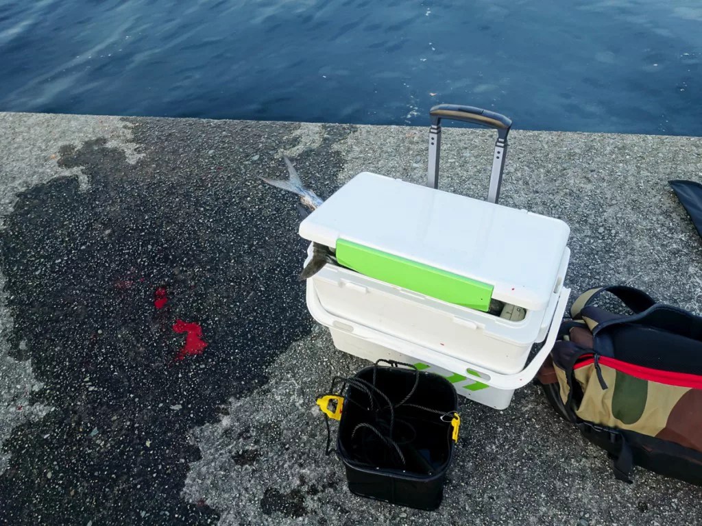 【電車釣行】移動に便利な釣り道具・装備を軽量化する工夫やノウハウを徹底解説！ Nature Drive