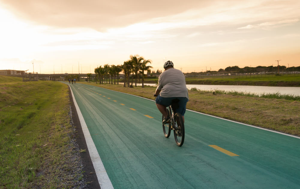 Can Cycling Reduce Belly Fat? The Cycle Chronicles