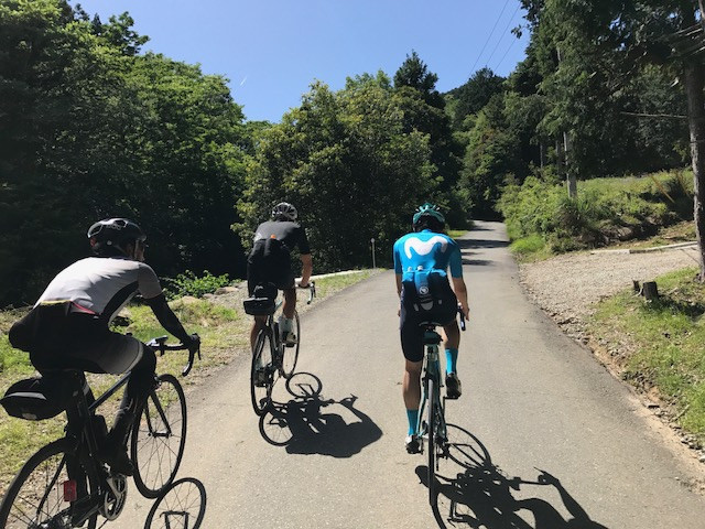 伊豆半島｜CYCLE PINE｜サイクルパイン[スポーツ自転車専門ショップ]