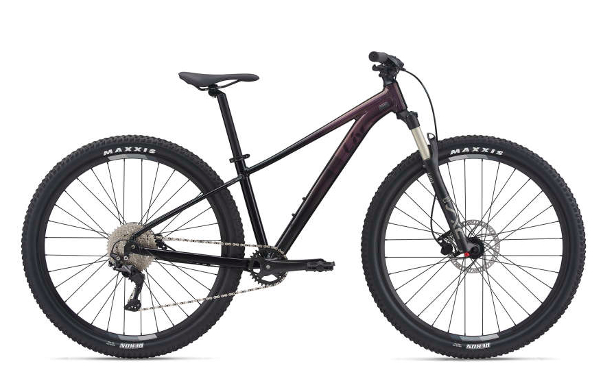 The best entrylevel mountain bikes this year Canadian Cycling Magazine