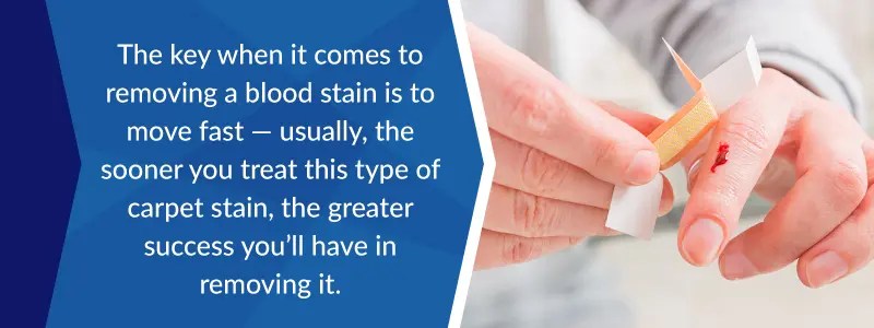 Remove Stubborn Stains from Carpet, Rugs, Upholstery & Furniture