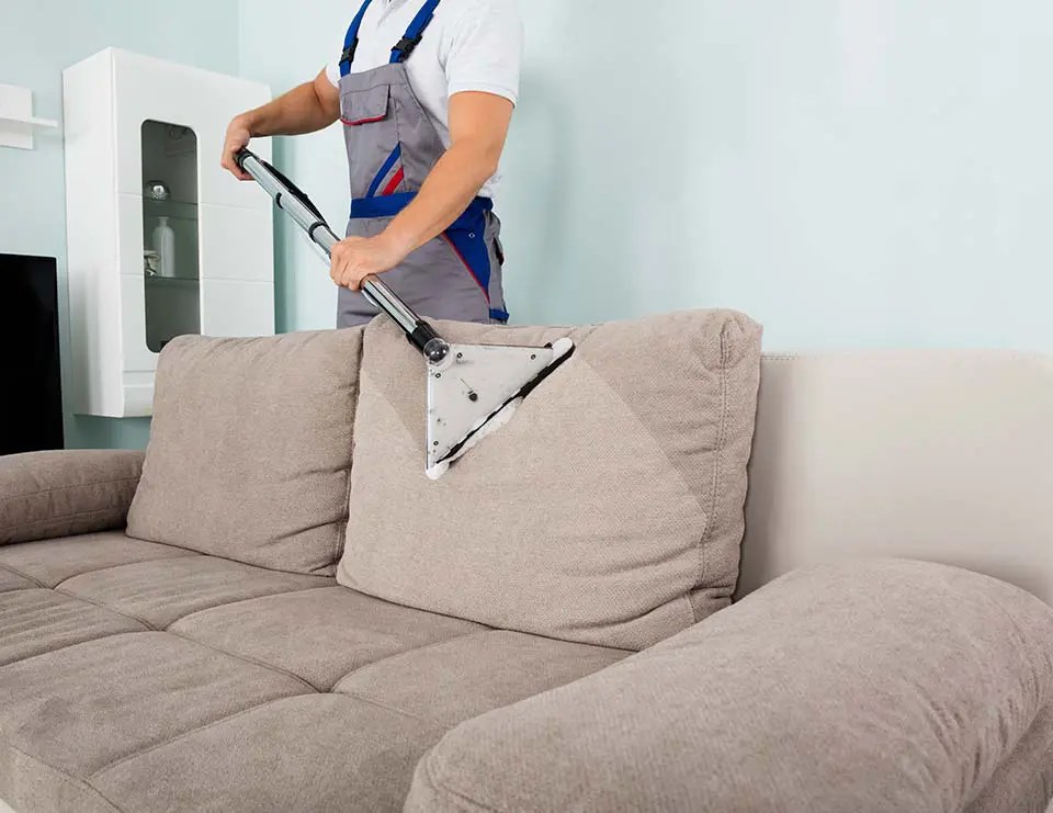 Furniture and Upholstery Cleaning Gallery Cyclone