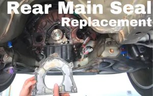 What is a Rear Main Seal? Understanding Symptoms, Costs