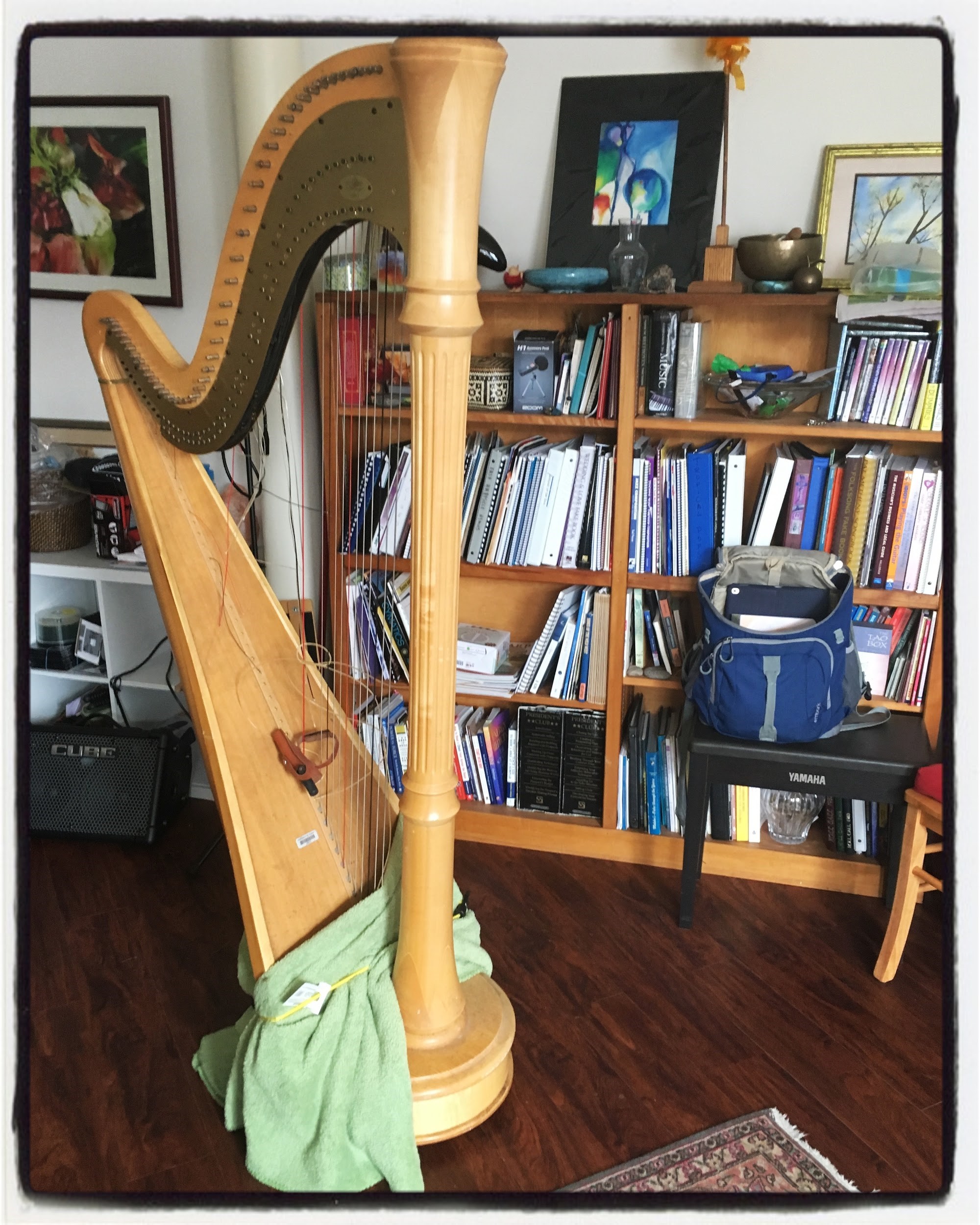 How I Got The Gift of My Pedal Harp or “I guess I need to get a pedal