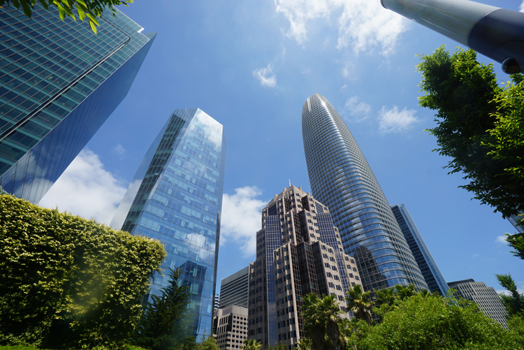 High in San Francisco Cyndi Combs Coaching