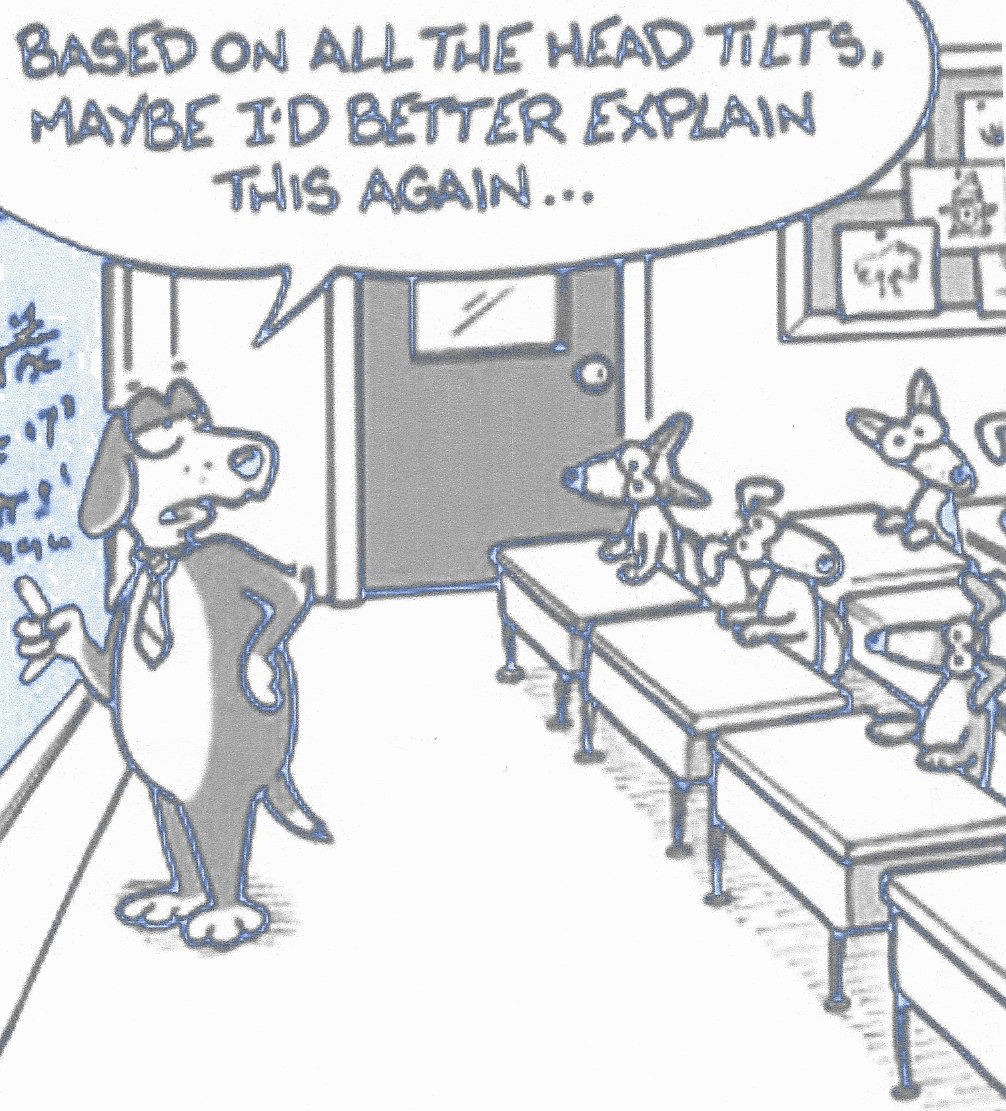 Mentor Dog or Teacher?