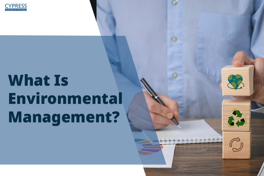 What Is Environmental Management? Principles & Strategies