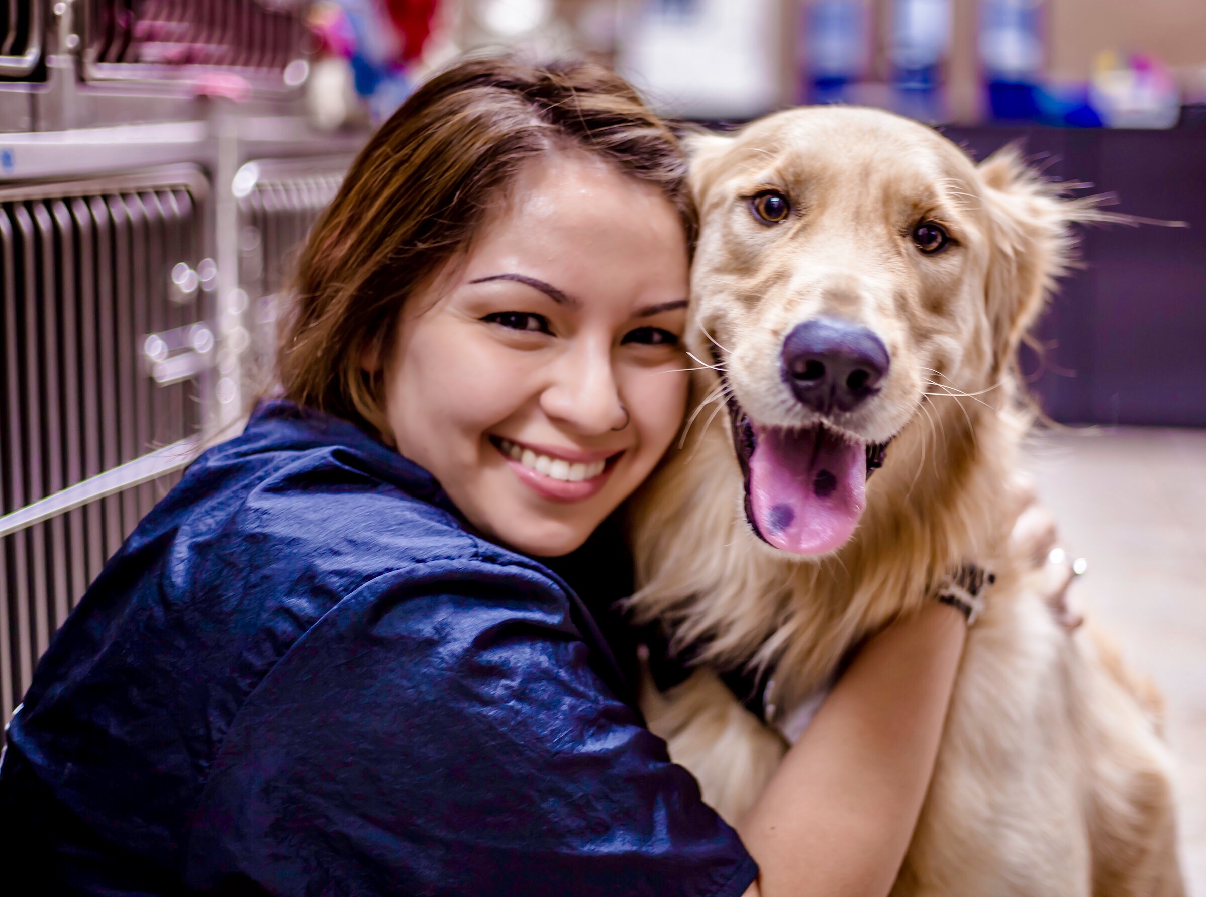 33401 Cypress Animal Hospital