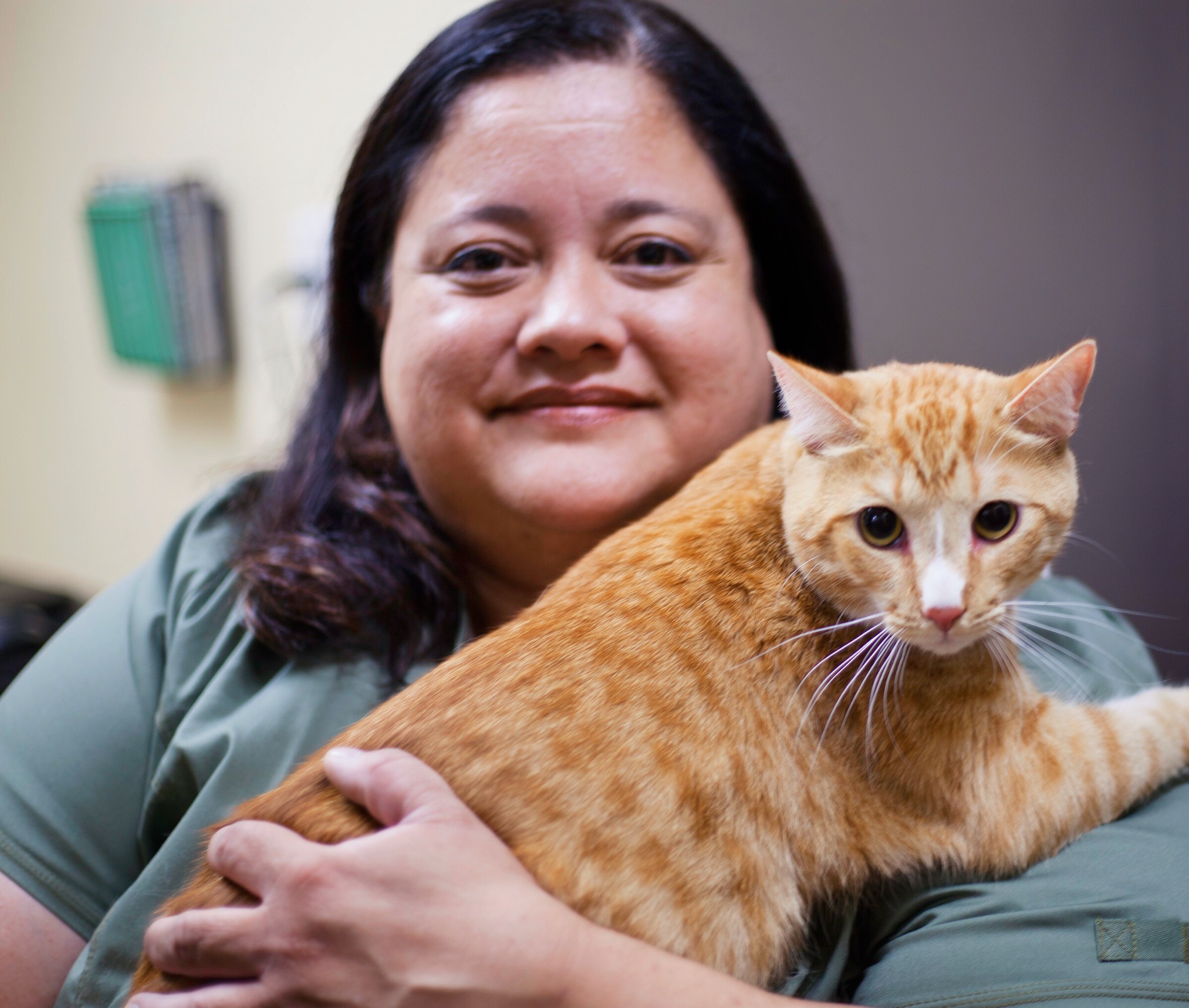 Our Team Cypress Animal Hospital