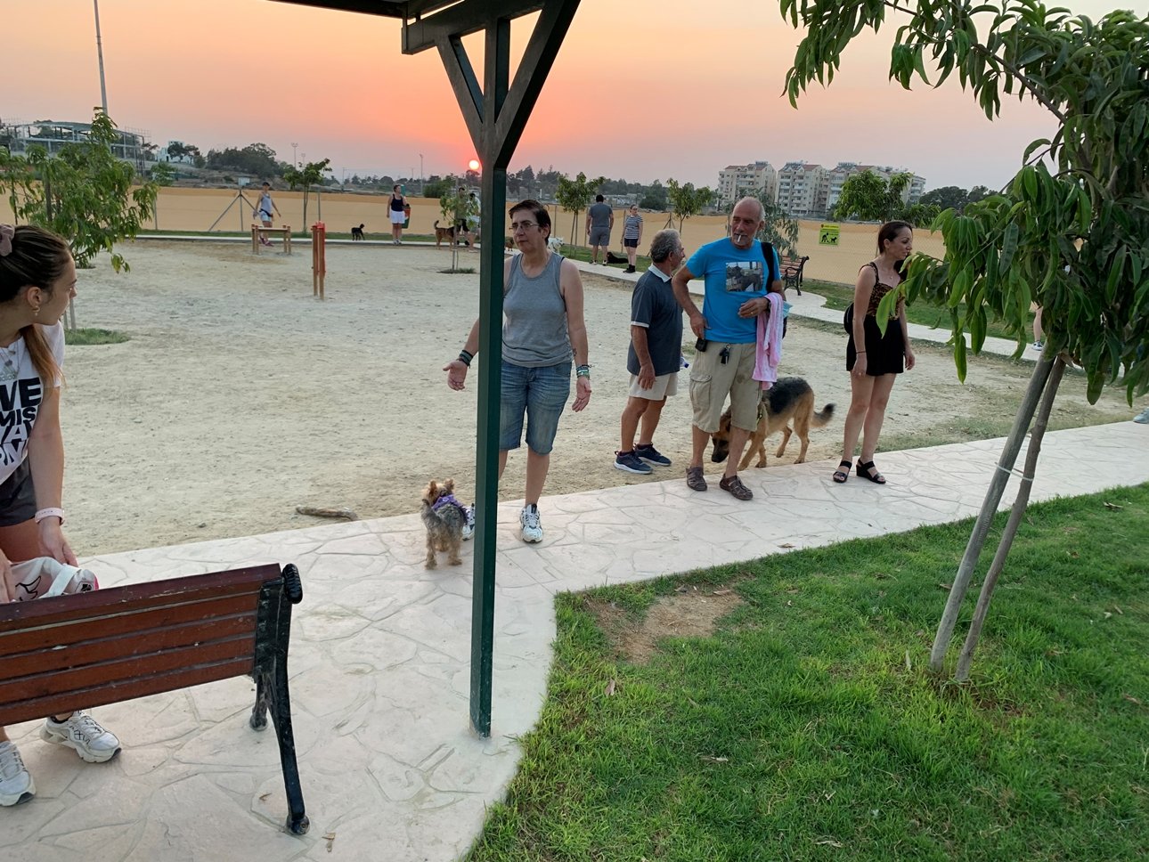 Larnaca dog park a meeting spot for pets and owners Cyprus Mail