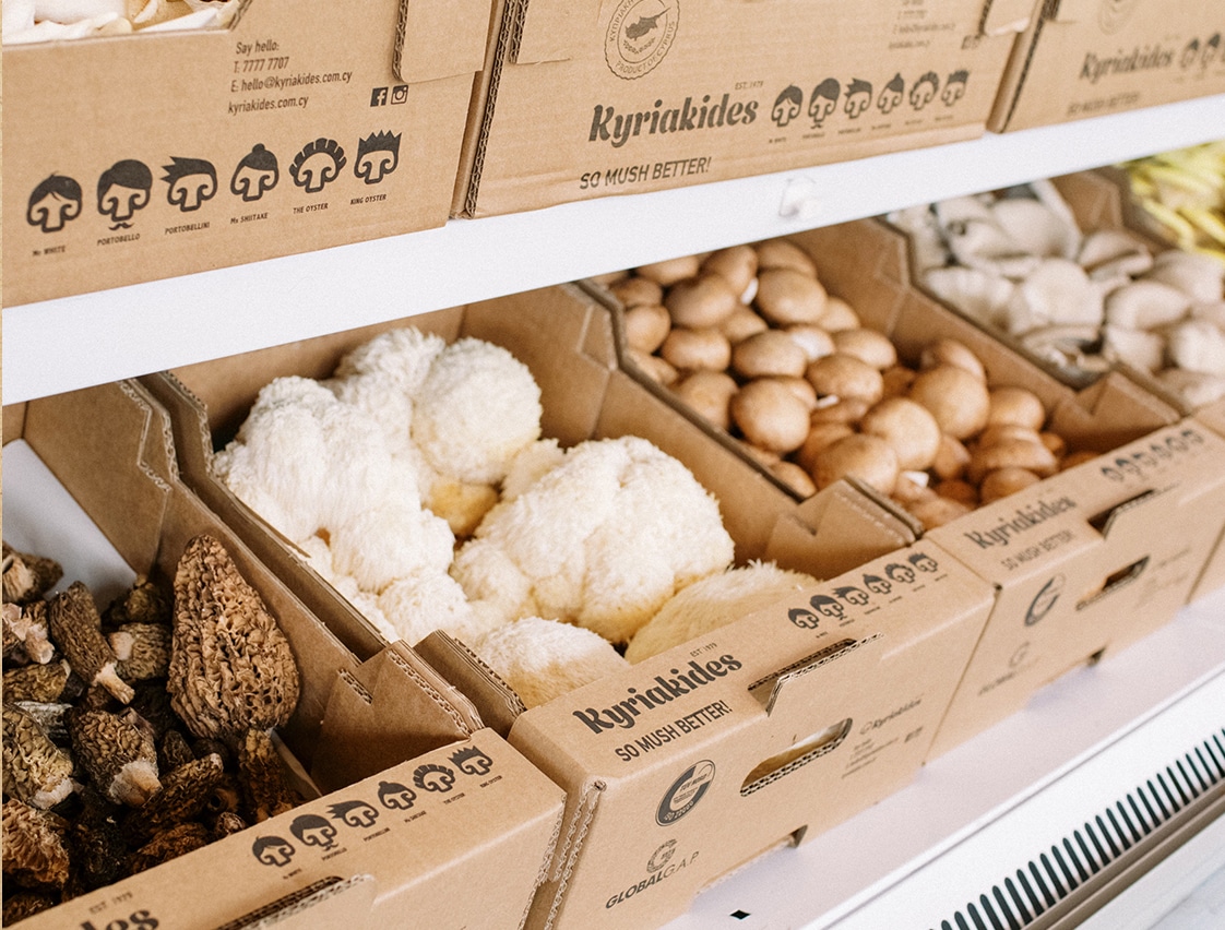 Record breaking mushroom cooking event to be held in Spilia Cyprus Mail