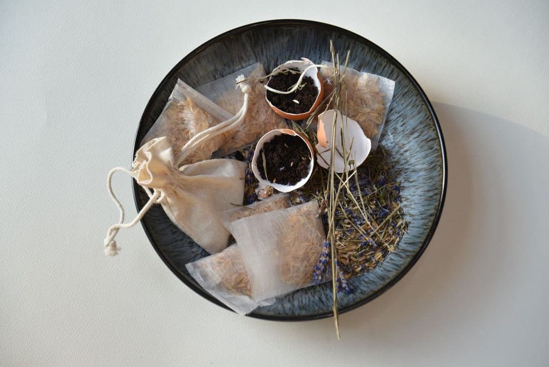 Limassol teens offer green alternative to silica gel Cyprus Mail