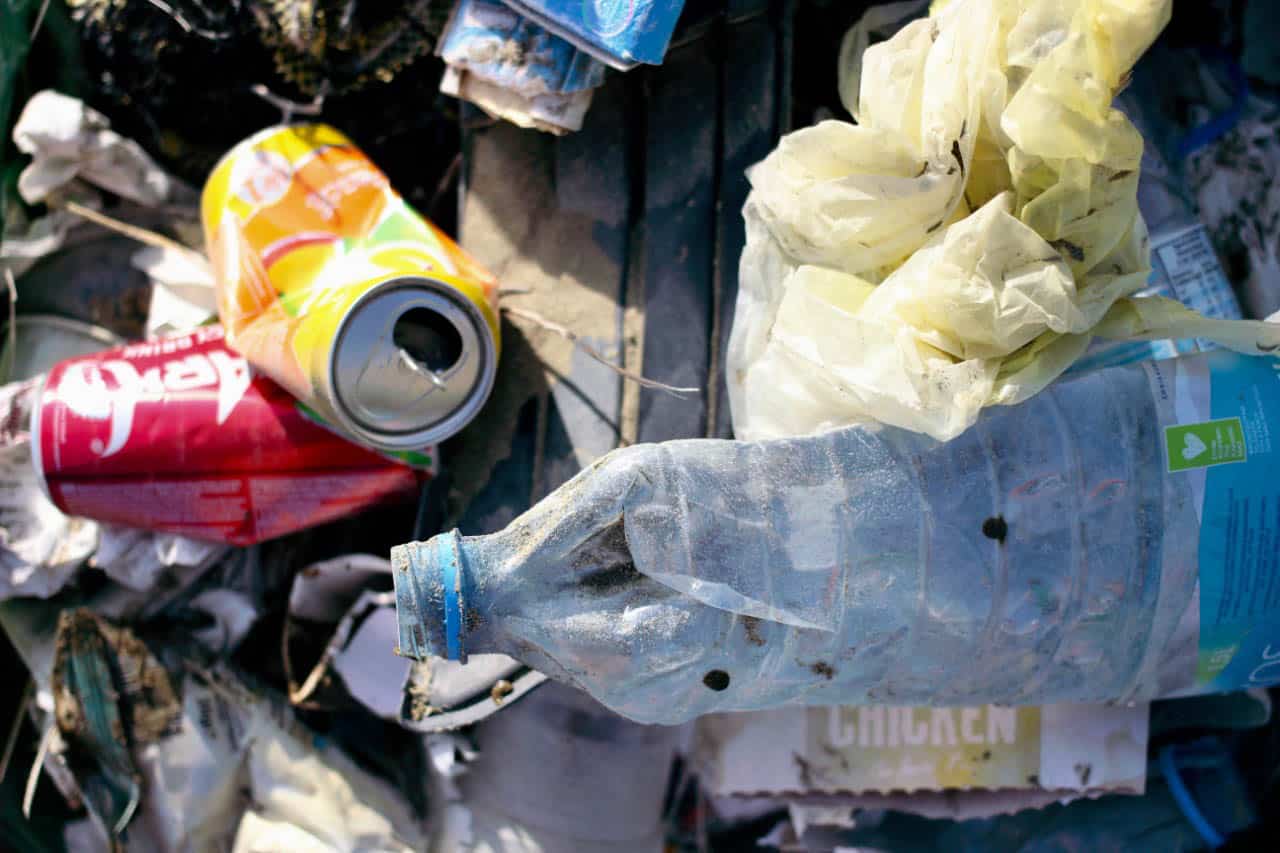 Plastic pollution threatening Cyprus marine life Cyprus Mail