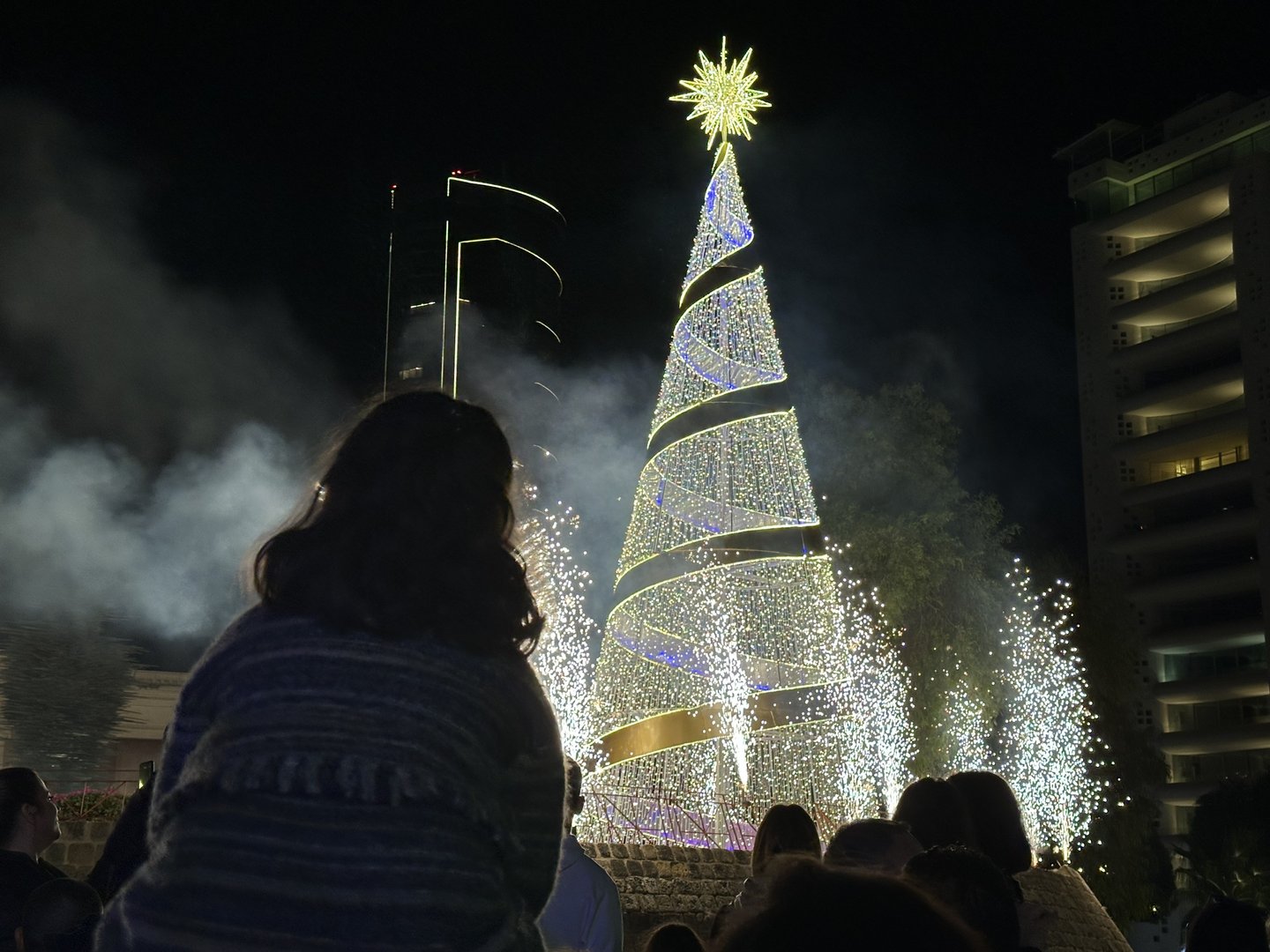 Christmas begins in Nicosia with lighting of tree (photos,video